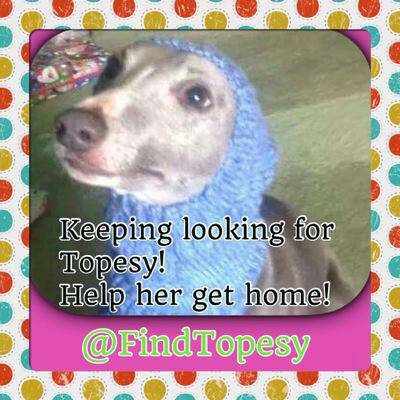 Harvey's Army tweet media