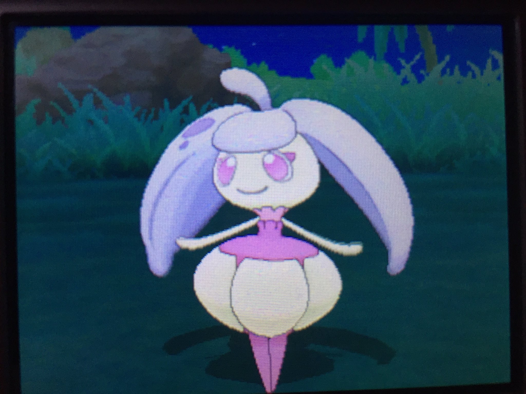 アンズー アママイコちゃんの色違いです お納めください やったーーー 紫だーーーっ 色違いで図鑑登録されてしまったー T Co Ifxuvnfhzl Twitter