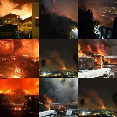 NaNayeef14's tweet photo. !الهم أحرقهم وأرسل عليهم من جندك كماحرقوا قلوب امهات المسلمات من فلسطين على اولادهم !#إسرائيل_تحترق https://t.co/SWfnGlQJ0c