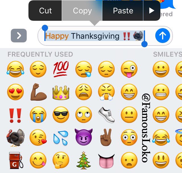 When you know you have to tell all your family, friends, and pets with phones #HappyThanksgiving 😂