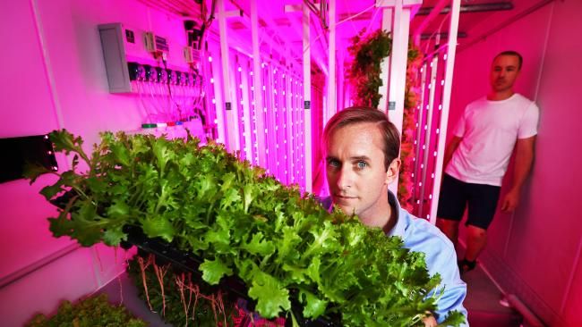 HydroponicsKit's tweet photo. Kinda cool, growing vegetables in a shipping container https://t.co/z2DqOxQ8Cr https://t.co/7CfKjJ3eEo