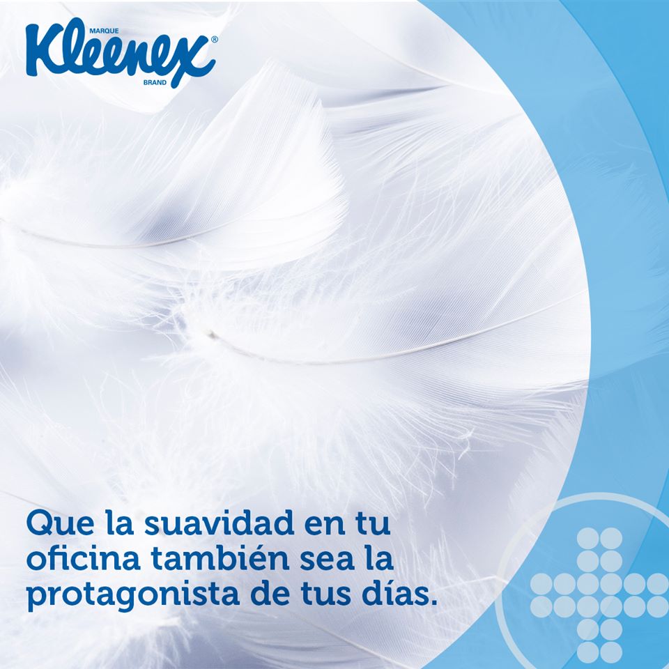 Kimberly Clark Prof. tweet media
