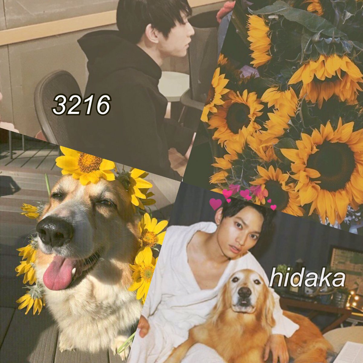 uhhh335's tweet photo. 💜💛💜💛
ただひたすら宇野実彩子と日高光啓が大好きでAAA愛してまくってる高校にねんせいで〜す💄😴
aヲタさんたくさん繋がりましょ〜う❕
#RTから気になったaヲタさんお迎え 
#aヲタさんと繋がりたい https://t.co/iwjt91QxQR