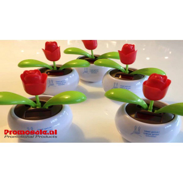 Deze bewegende bloem is het perfecte relatiegeschenk om het zonnetje weer in huis te halen. Je vindt hem op onze website onder "Giveaways"