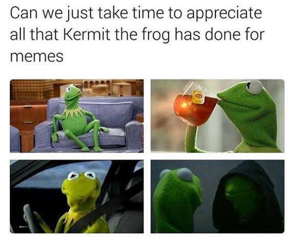 Thanks Jim Henson https://t.co/RWjLVrATV2<a href="/tag/meow"class="tags"><span>#meow</span></a>