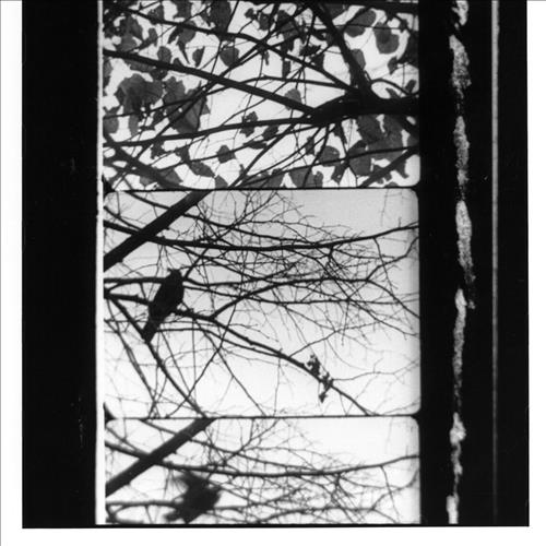 filmmaker_fest's tweet photo. #fuoriformato Un omaggio alle immagini liriche di Kurt Kren, omaggio che accoglie anche altri cineasti viennesi.
https://t.co/NsZuUGuAAX https://t.co/saEyTO7Jkj