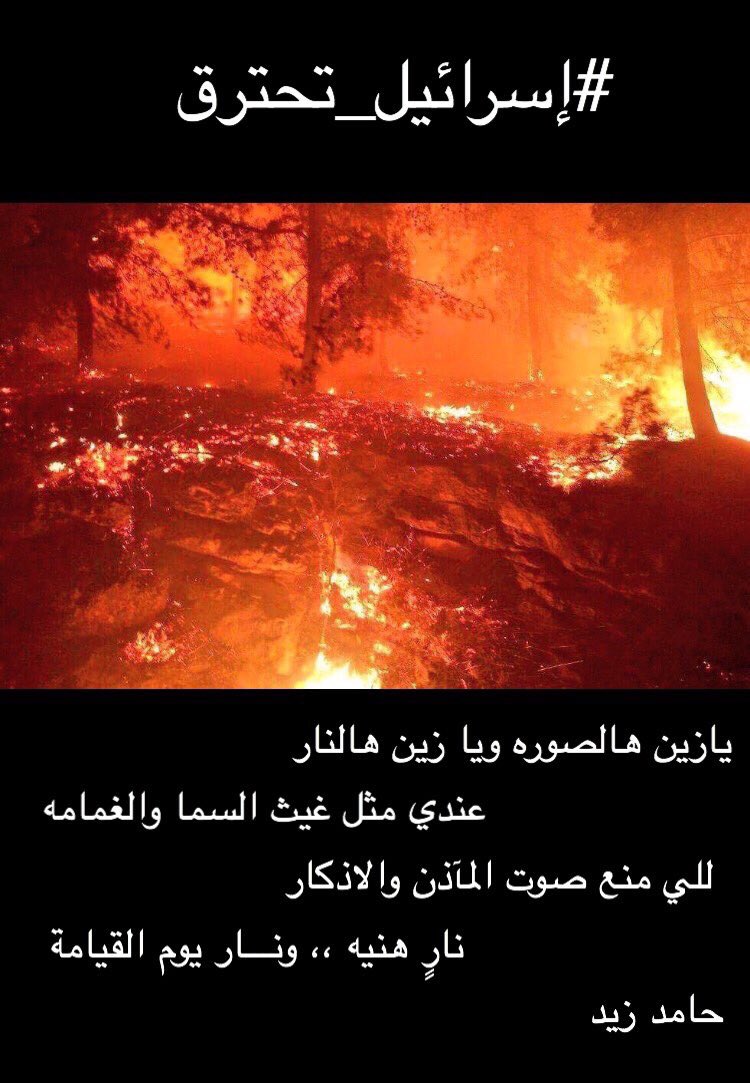 عرض الصورة على تويتر