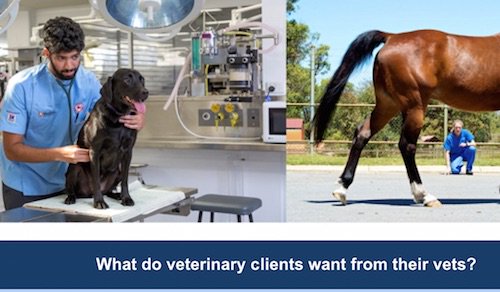 VetSet2Go tweet media