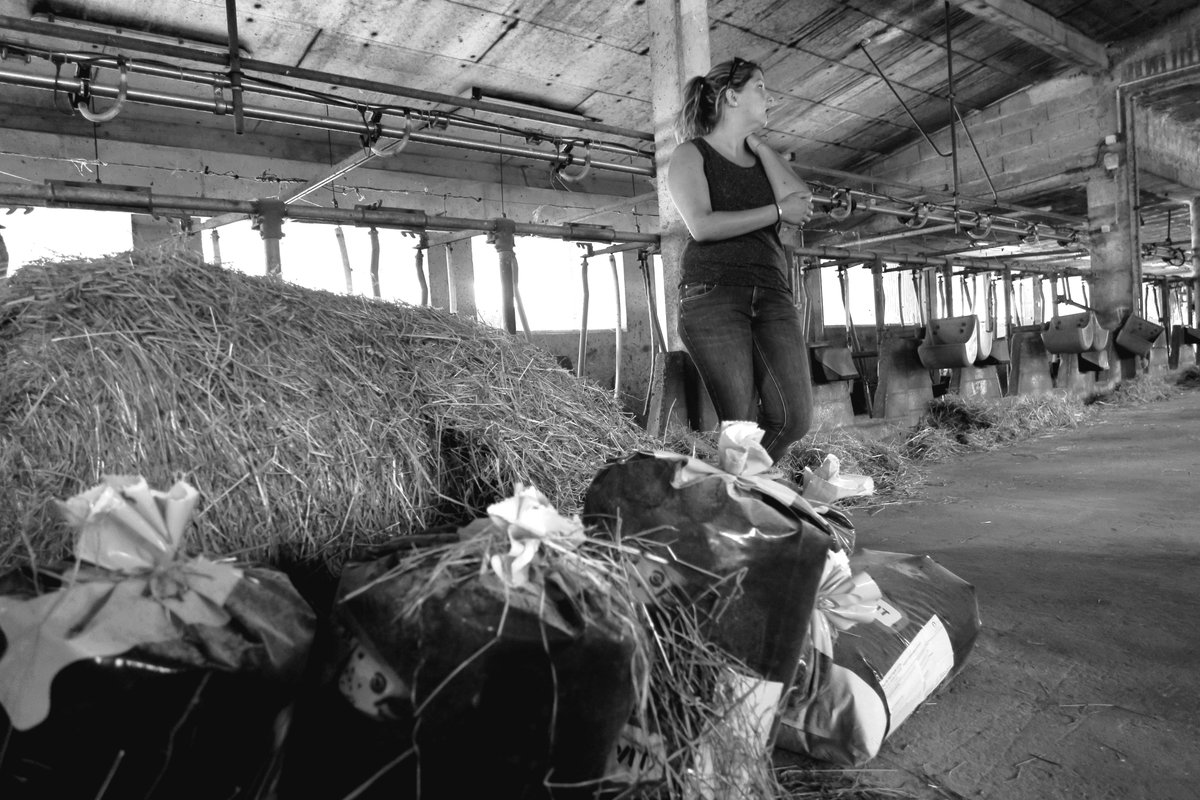 rurality_org's tweet photo. Qui sont les #agriculteurs de demain? Reportage @rurality_org sur les #jeunes en formation agricole @MFR_Dronieres https://t.co/X9Habt2ihg https://t.co/g3OnQHknMQ