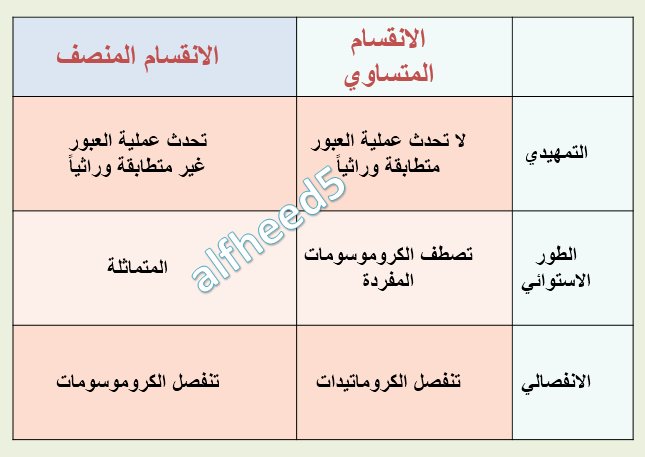 قارن بين الانقسام المتساوي والمنصف موقع المحيط
