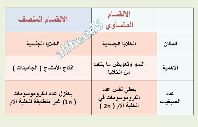 عبدالله الفهيد on Twitter: 