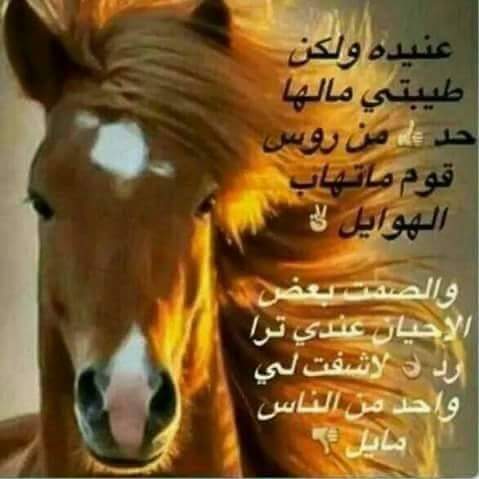 الشيخه فطيم آل مكتوم 5cwawowclghyzgq Twitter