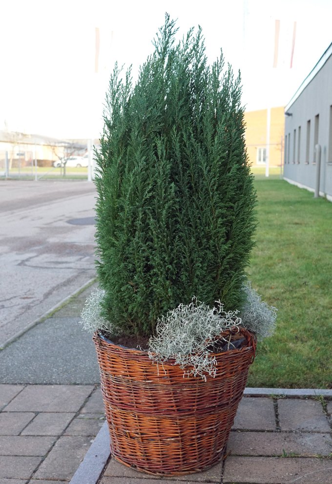 H2H_1991's tweet photo. På Hjärta till Hjärta i Linköping kan du köpa julklappar som tillverkats av romer i Rumänien: https://t.co/D0PH3I5Wq8 #Julklapp #Tornby https://t.co/lLCuvRTGpc