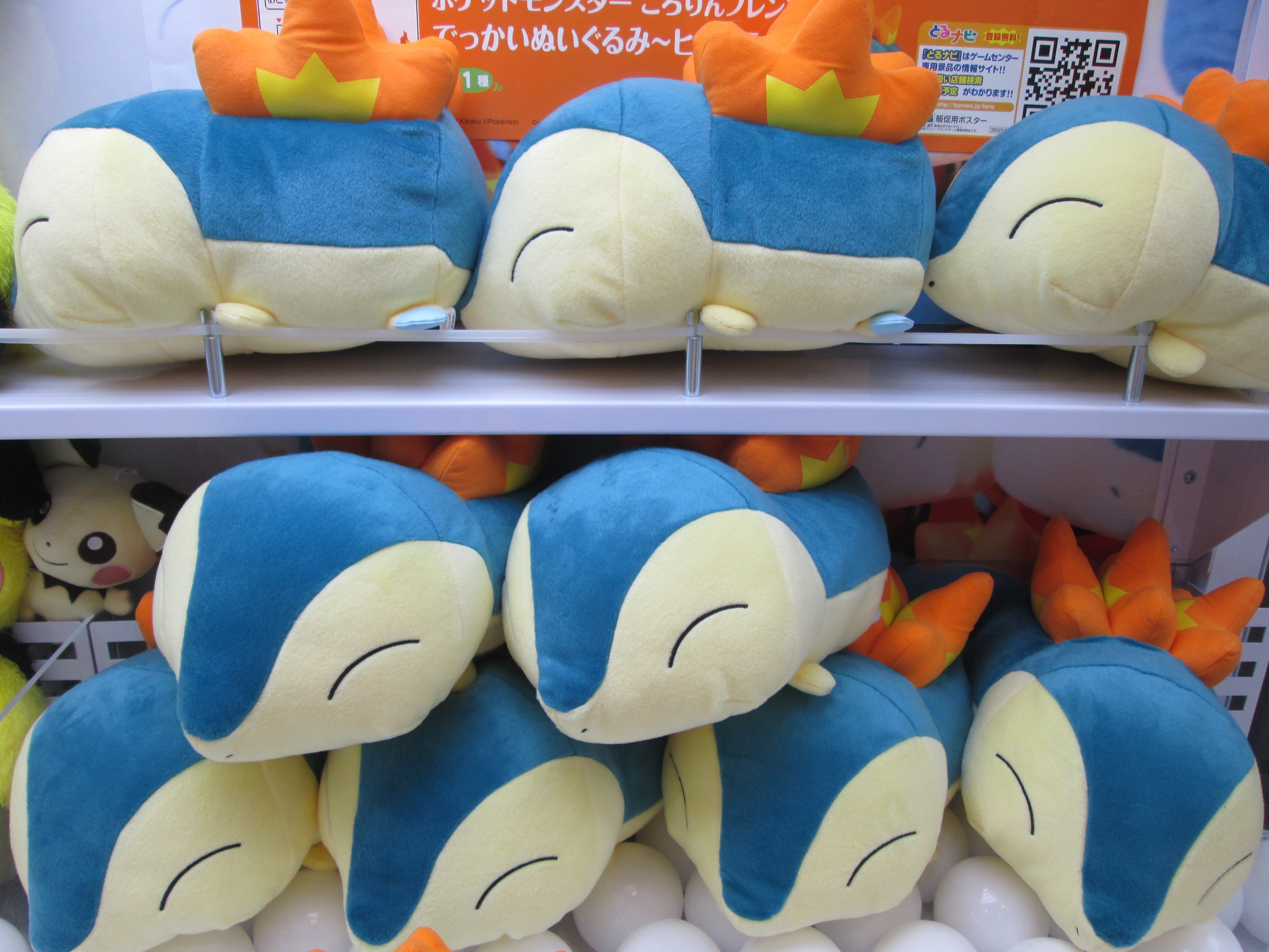 セガ神戸umieモザイク Twitter પર 投入情報 ポケットモンスターころりんフレンズ でっかいぬいぐるみ ヒノアラシ 入荷しました 実はヒノアラシ メスの出現率がオスの出現率の10分の1なんですって 知ってましたか D ポケモン