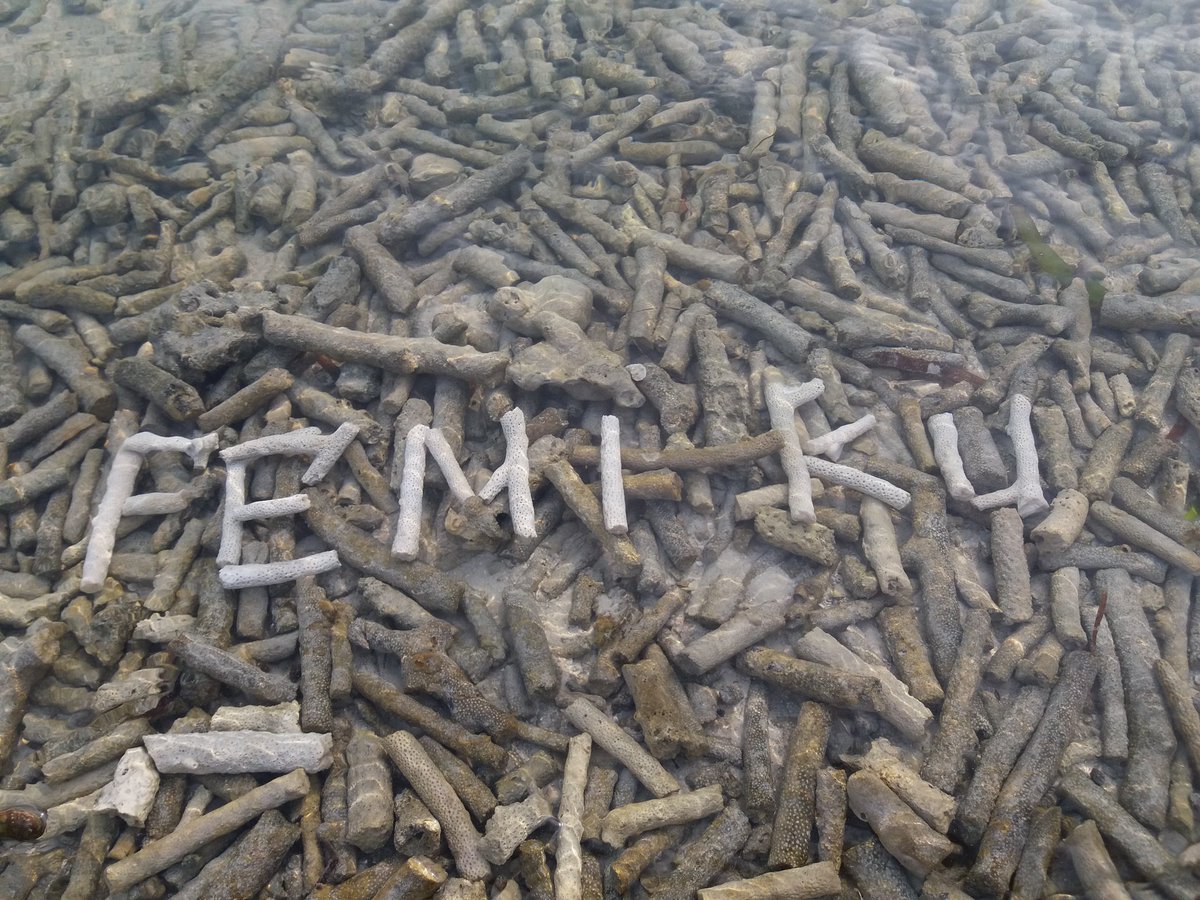 Femi caesar tweet media