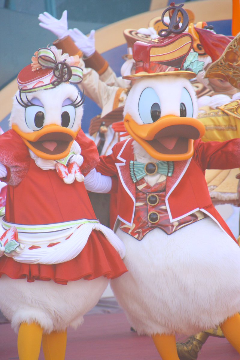 daisy_yuuna's tweet photo. キュイのドナデジの可��さ https://t.co/oBGsTe7YJy