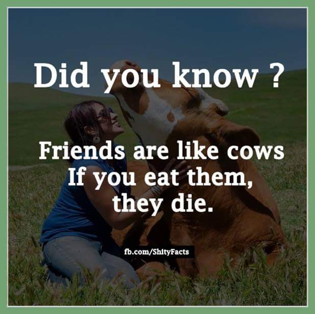 LettyChigers's tweet photo. A cow is just a friend you haven't met yet ❤🐄❤😍 #friendsdonteatfriends #humansareanimals #veganism https://t.co/yydFzpDelk