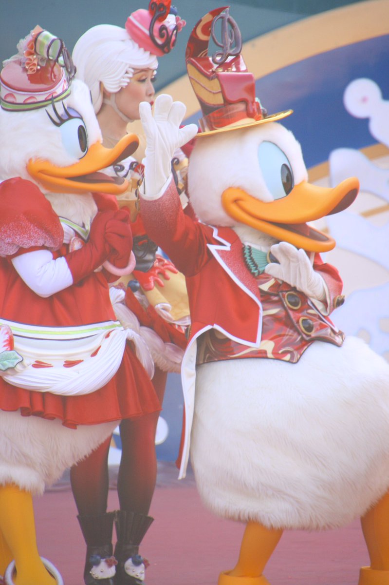 daisy_yuuna's tweet photo. キュイのドナデジの可��さ https://t.co/oBGsTe7YJy