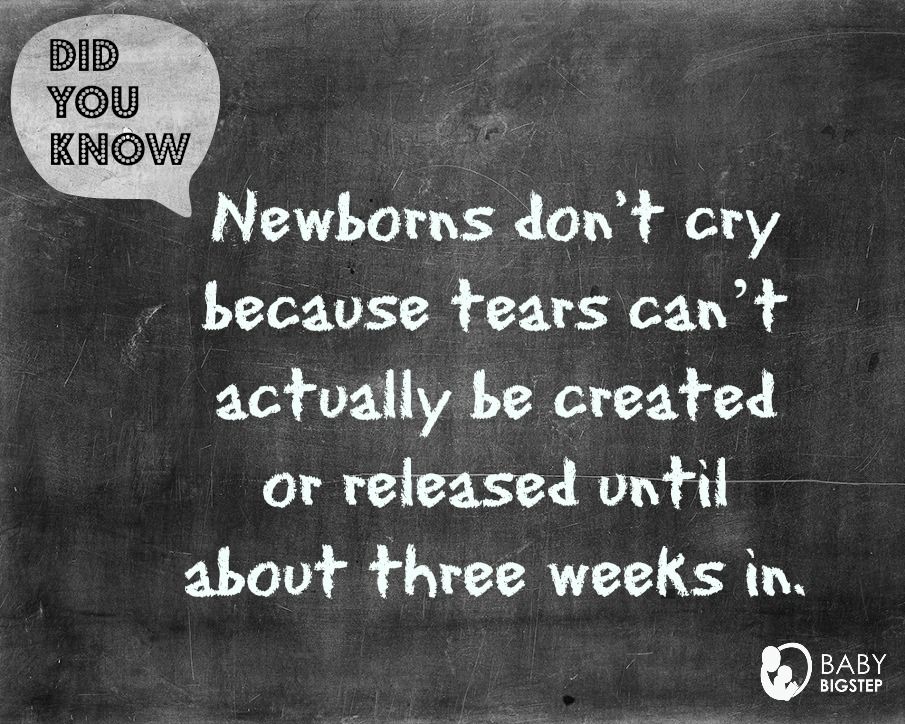 BabyBigStep's tweet photo. No tears baby :) #Didyouknow #babybigstep #newborn #infant #baby #babycry #tears #parenting #babydevelopment #newdad #newmom #lasttrimester https://t.co/ndOExqFITe