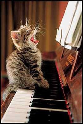 wickstotalvoice's tweet photo. Caption this pic... #singinghumour #singinghumor https://t.co/4lo02UTsFB