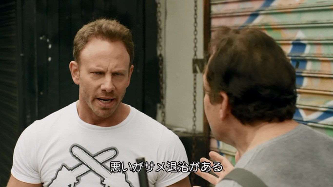 知的風ハット クリスマスの予定を聞かれたときの反応