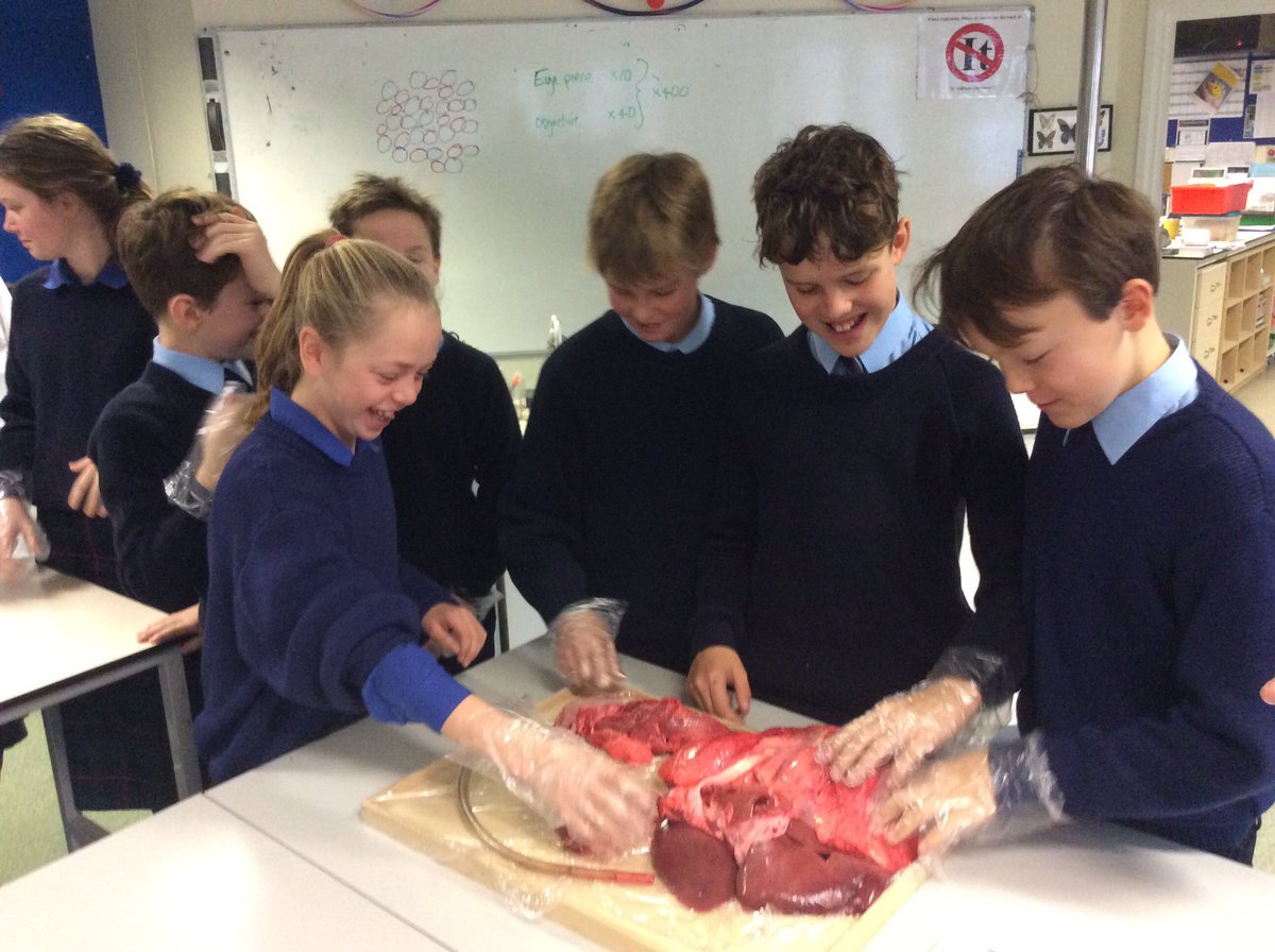 Cheam_Science tweet picture