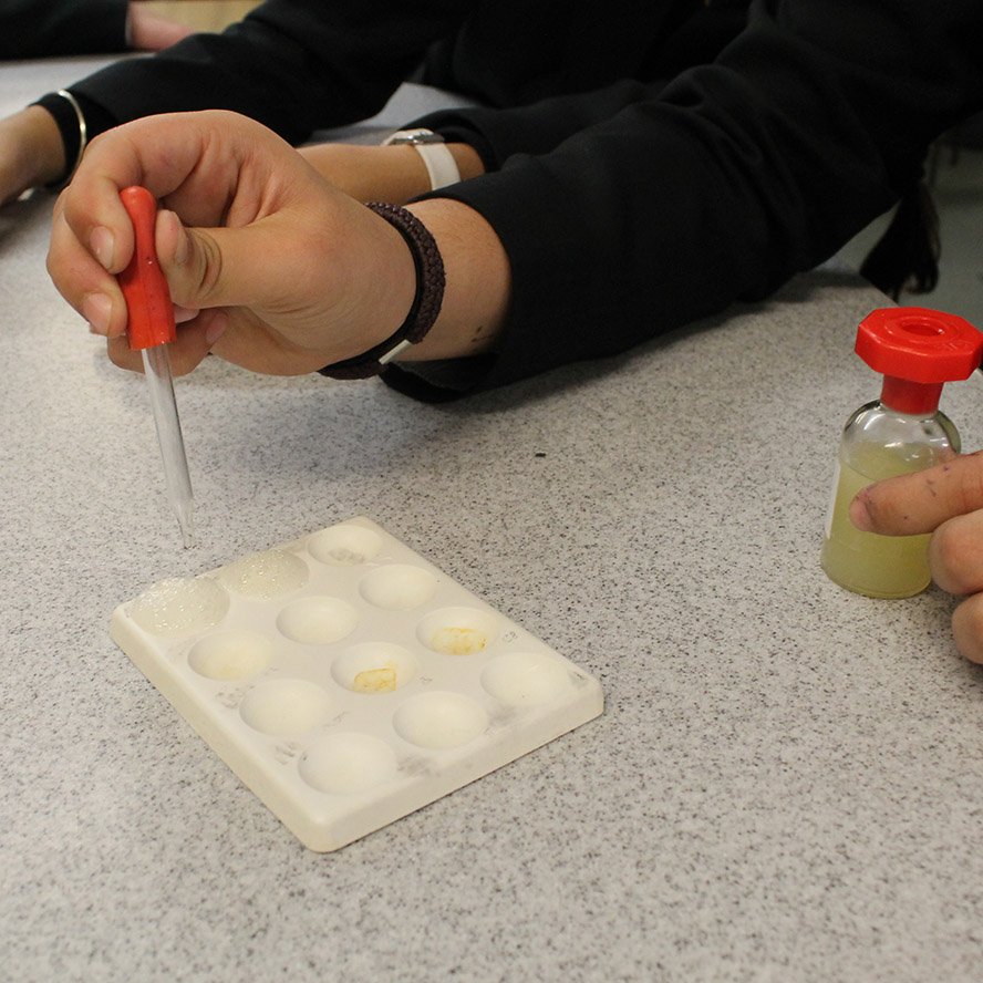#ScienceClub making Bath Bombs ...