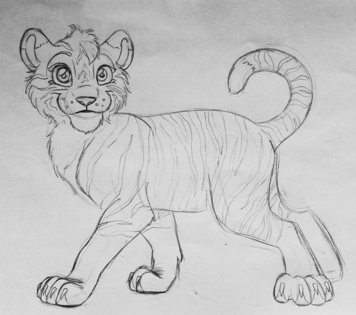 Baby tiger 🐯

#art #illustrator #sketches #tiger #tigers  #design #cute #babytiger #tees  #tshirtdesigns