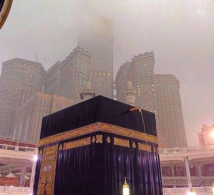 امطار في مكة و حريق في اسرائيل ،
يا لجمال هذا المنظر يالله ❤

#إسرائيل_تحترق