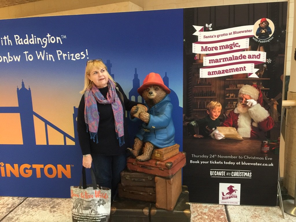 kevinthomas12's tweet image. #paddingtonbw