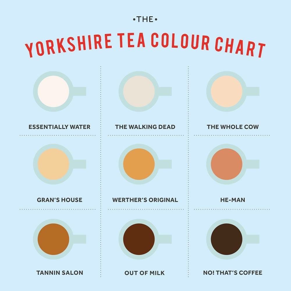 glu_recruit's tweet photo. Which one's for you? Think it's grans house for us @YorkshireTea #theperfectbrew https://t.co/N0Zh54ZPcX