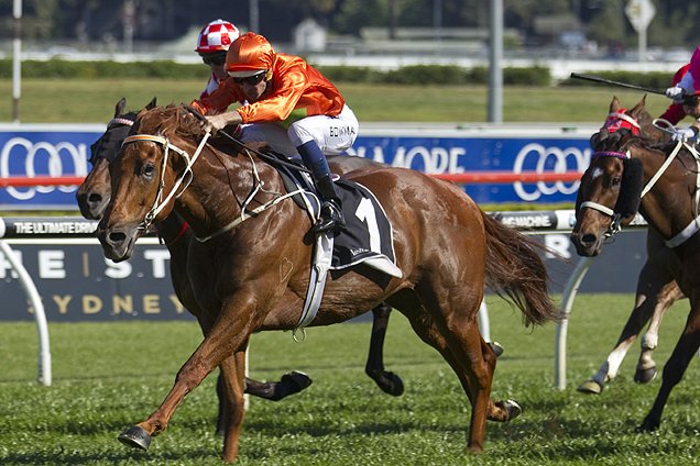 FreeBet_AU's tweet image. Sprint over to @ladbrokescomau for giant odds on the Winterbottom Stakes!
#winterbottomstakes #racingodds
freebet.com.au/giant-odds-on-…