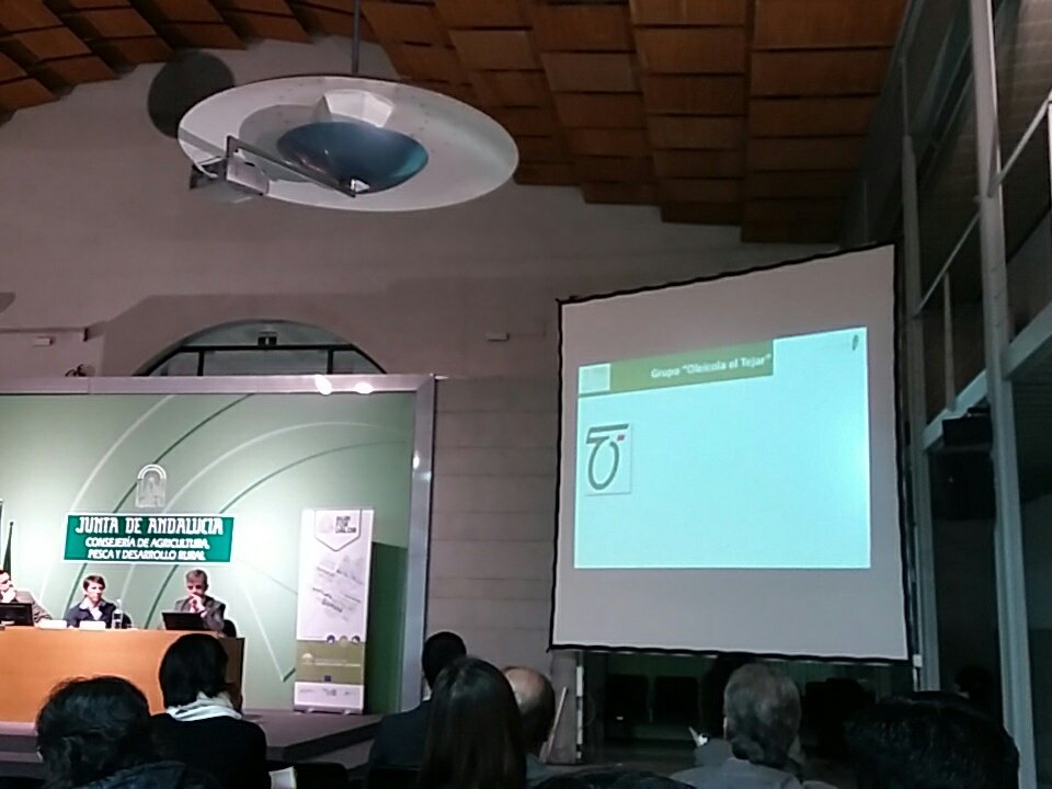 InnoPlant's tweet photo. José Carlos Quintela nos presenta El proyecto #INNOVAOLEO,#bioproductos de #biomasa #oleica @NatacScienc2Mkt #Agri4valorSEV #OleicaElTejar https://t.co/BPOR9Qvcgp