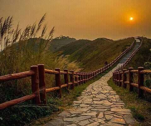 gazal_ki's tweet photo. शहरे वफा में धूप का साथी नहीं कोई 
सूरज सरों पर आया तो साये भी घट गए 
@mirza_ki @OneGodIsTruth @gksid12 @4G_BOY @merikalamse @AnoorvaSinha https://t.co/8NZEBGcKn3