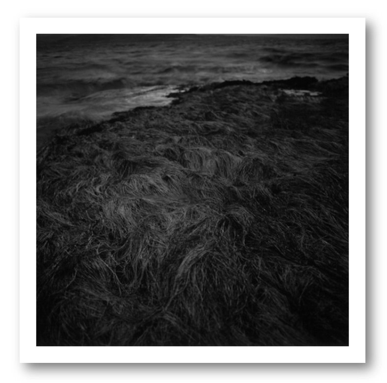 🔻

Hiroto Fujimoto

Untitled
Irlande
1997

⎰Printing on Baryta paper silver gelatino-bromide with a turn selenium⎰