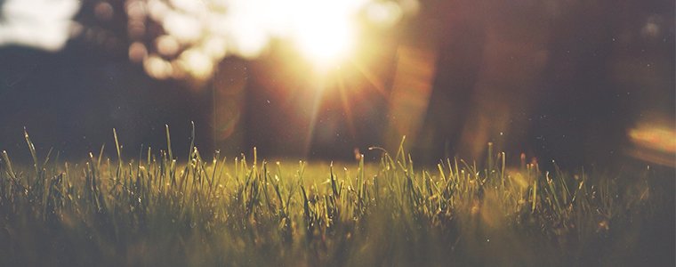 Enhance your garden with three top tips...

ow.ly/znrP301U15a

#Garden #Blog