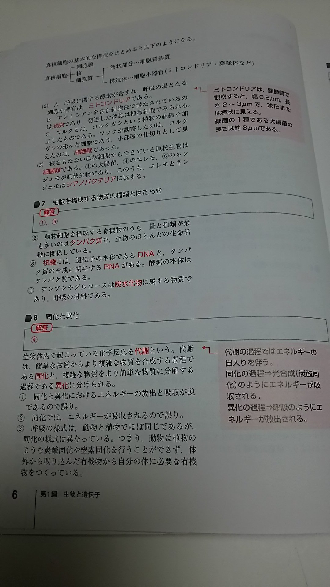 New Global 第1章 生物の特徴 基本問題7 15 New Global 第1章 生物の特徴 基本問題7 15