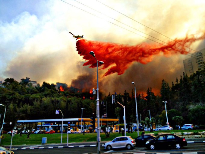 View image on Twitter