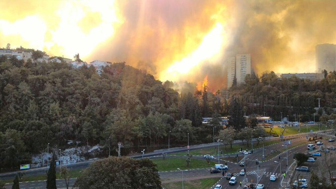 View image on Twitter