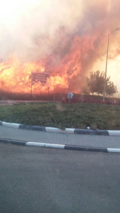 View image on Twitter