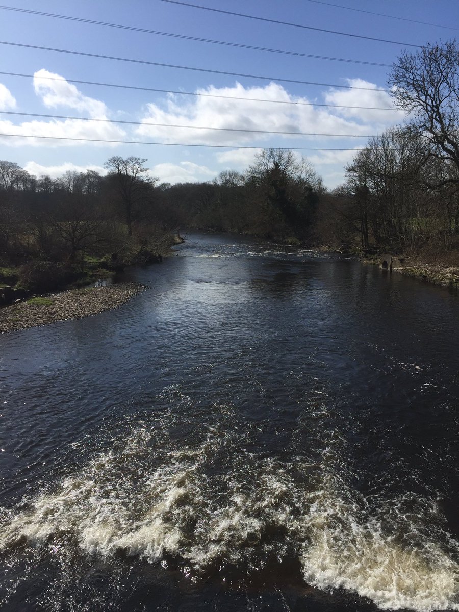 LizMorgan13's tweet photo. Stay with us for fabulous walking #MARPLE #romanlakes #chadkirk #marplecanal #stockport https://t.co/kdHo2KuuFD