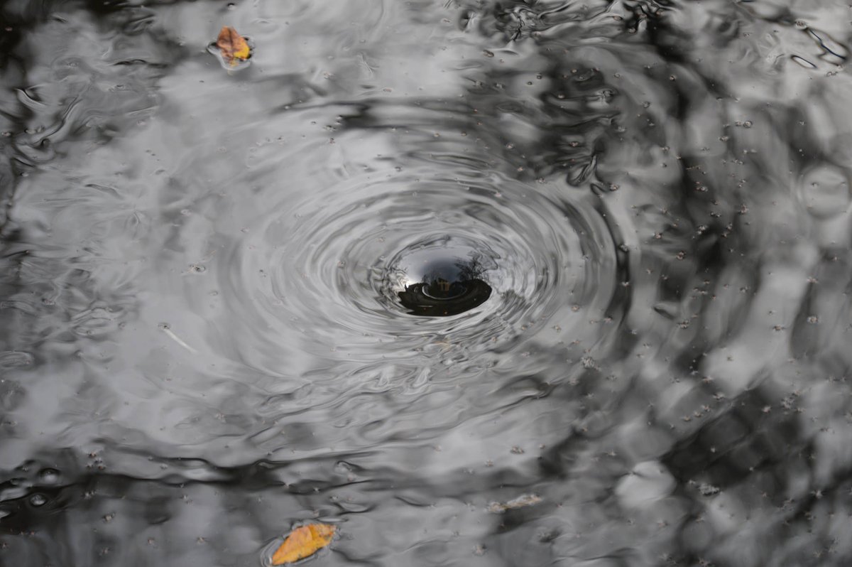 TicTopSales's tweet image. CRM, embudo de ventas y velocidad #crm #ventas #embudoconversión #experienciacliente spok.al/5l51