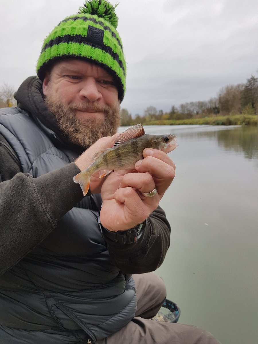 Bearded Carper (@beardedcarper) on Twitter photo 