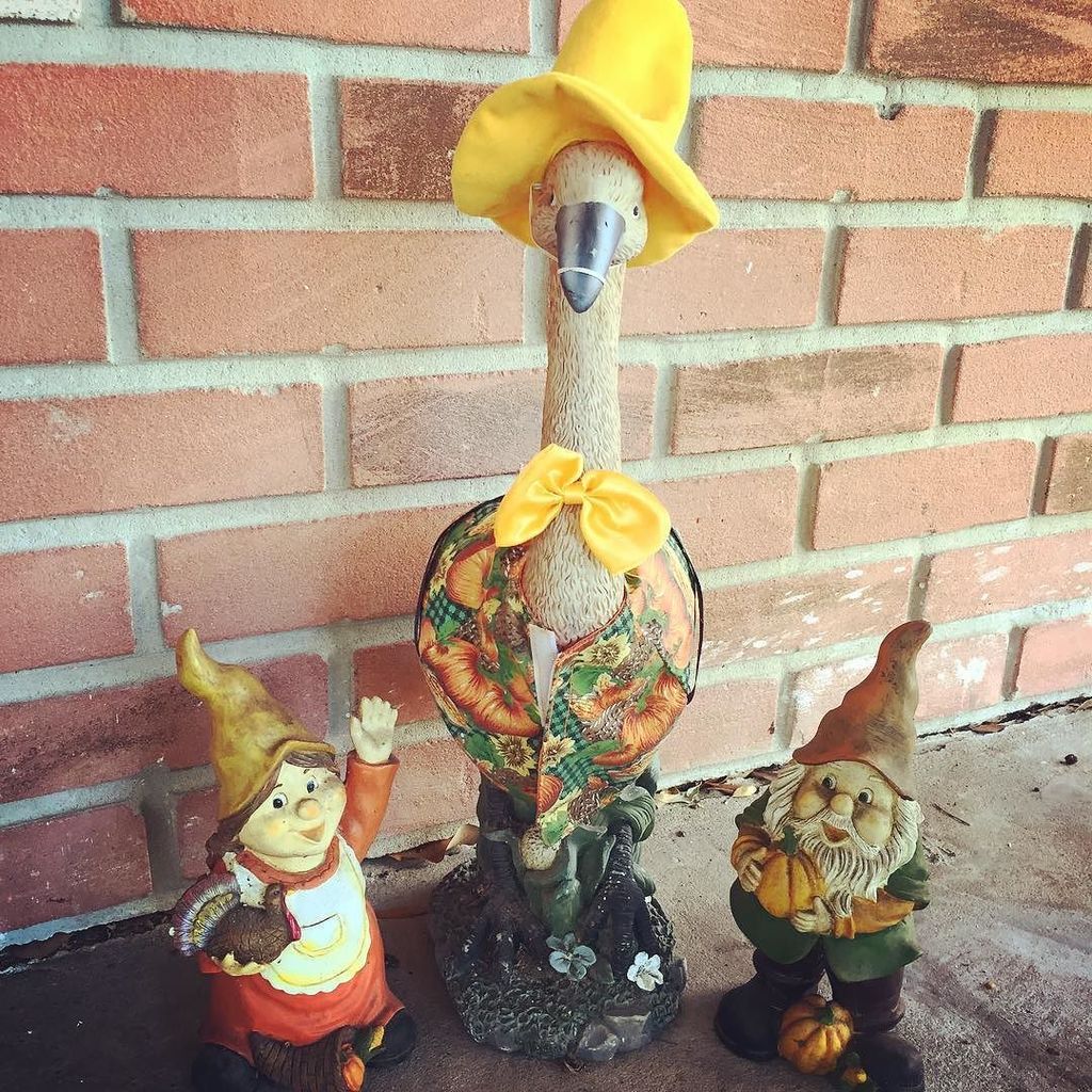 cindysnyderbook's tweet photo. Happy Thanksgiving! #flamingo #gnome #turkeyday #thanksgiving #thanksgivinginflorida #flor… https://t.co/oYG1V3IqEu https://t.co/d4EUn6dqKS