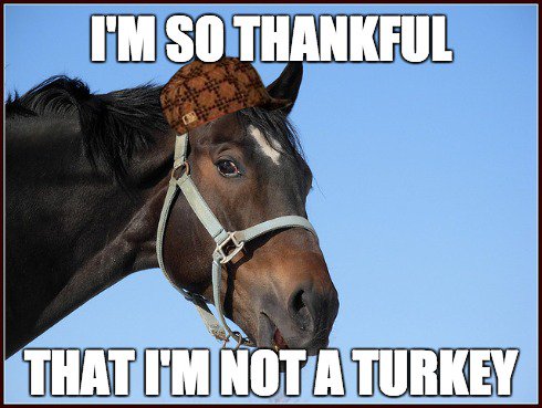 thebalancerider's tweet photo. Happy Thanksgiving from Balance Rider! Help our dreams come true by donating to our IndieGoGo campaign today! https://t.co/pAeajsqZfg