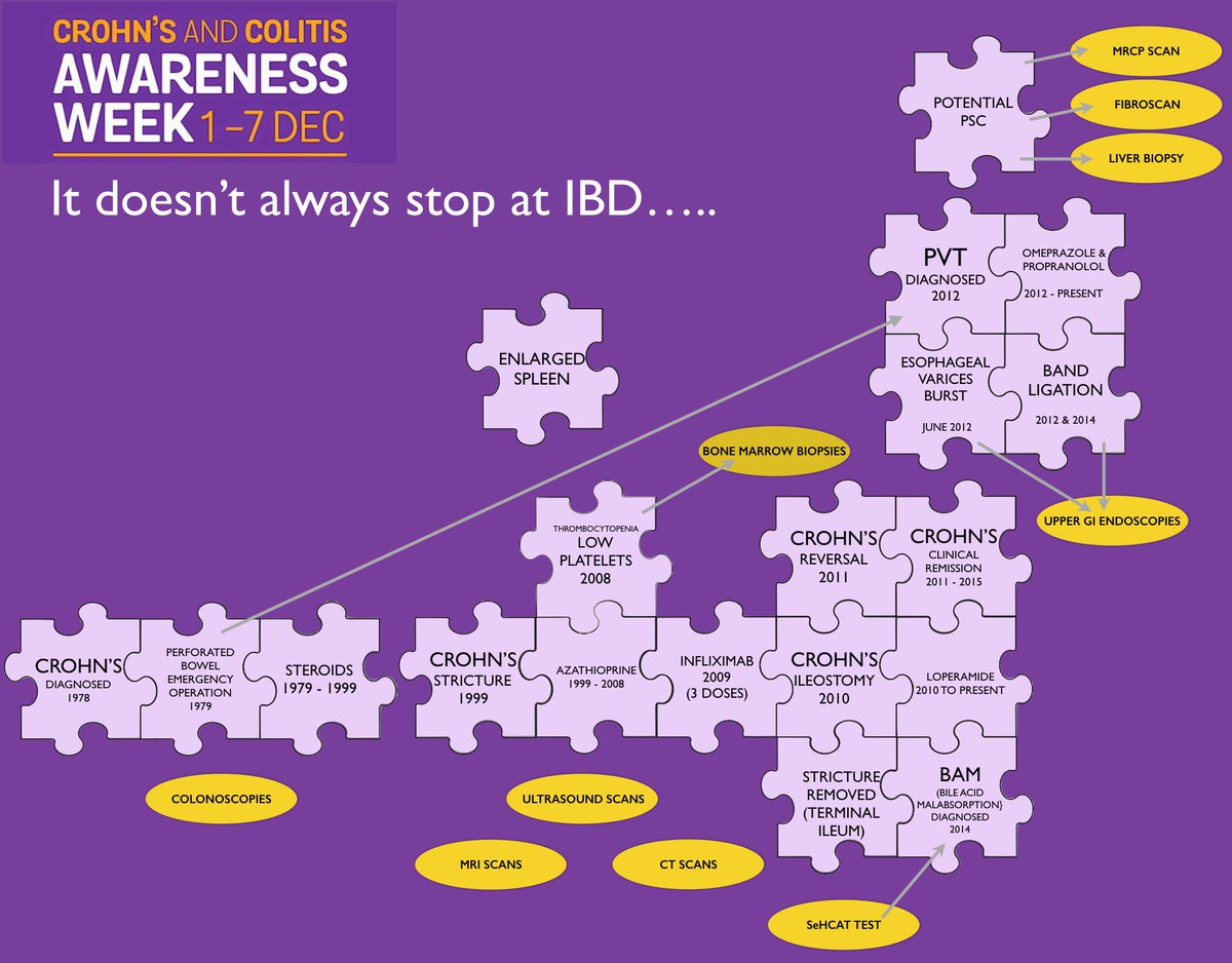 Crohnoid's tweet photo. @wegohealth Today's #HAWMC entry - 3 images that sum up my #healthfocus
Only 6 more days to go
#IBD #crohns #chart #jigsaw #chapterlist https://t.co/ZVovjTpiW8