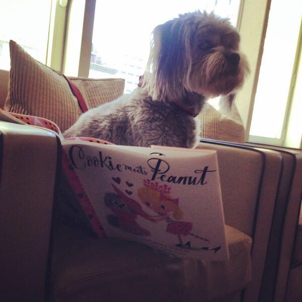 cookiedabooboo's tweet photo. Reading to the bros while @bethenny is making turkey. Thankful. Don’t tell @biggysmallz #HappyThanksgiving https://t.co/YRK58fmt7V