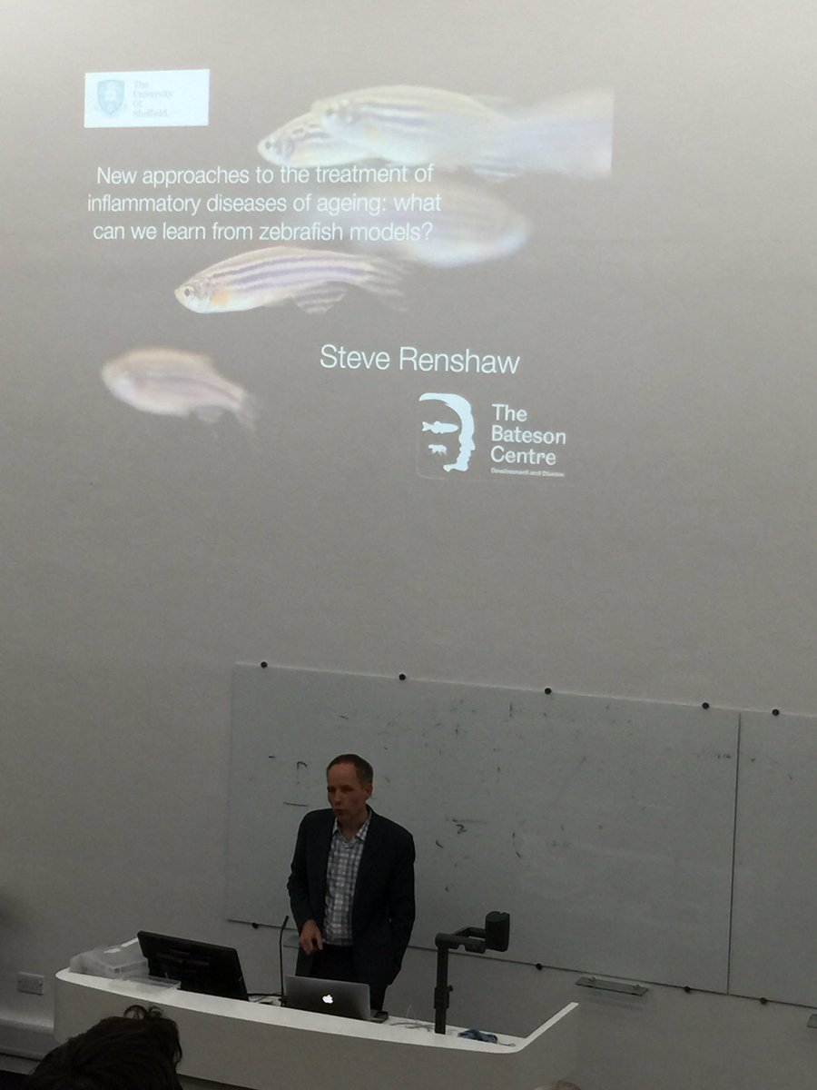 SheffieldCAS's tweet photo. Prof Steve Renshaw begins his inaugural lecture https://t.co/8xr9JhNIbI