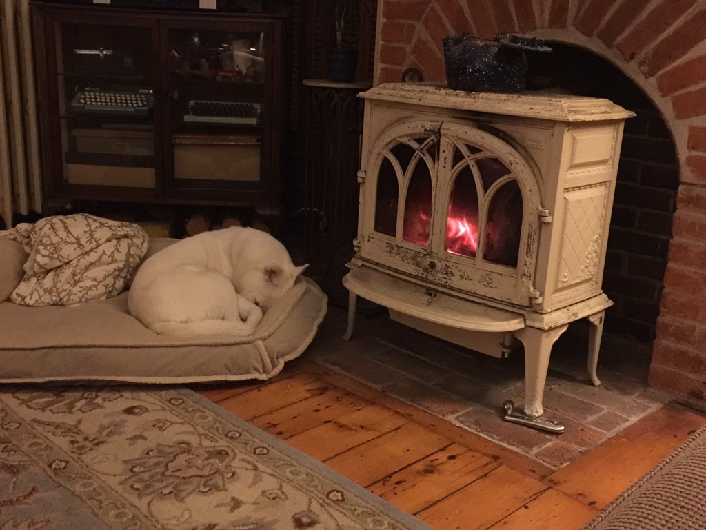 ceejaywho's tweet photo. #DogThanking @purina. She reminds us the value of relaxing! https://t.co/sXzCC1ako1