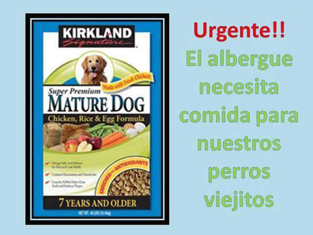 JustLour's tweet photo. @En_laDelValle hola alguien sabe donde puedo conseguir este alimento? Gracias https://t.co/Ut4gzGFA6O
